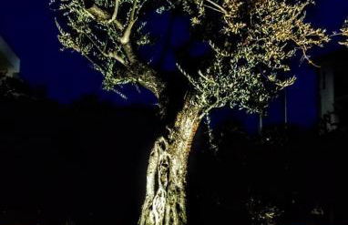 Tratturo dei Greci, biocasa vacanza - Foto 58