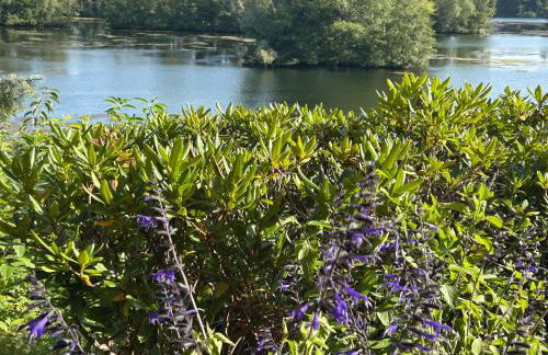 Direkt am See mit privatem Sandstrand - Foto 14