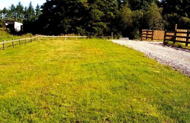 Forest View Cottage - Private Hot Tub - Foto 22