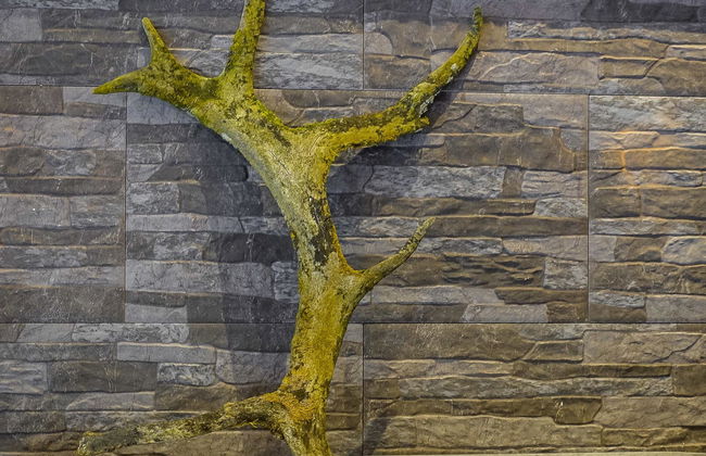 Villa tunturisopuli - Foto 28