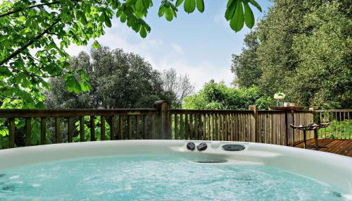 Bydown Lodge - Swimbridge Devon - Foto 2