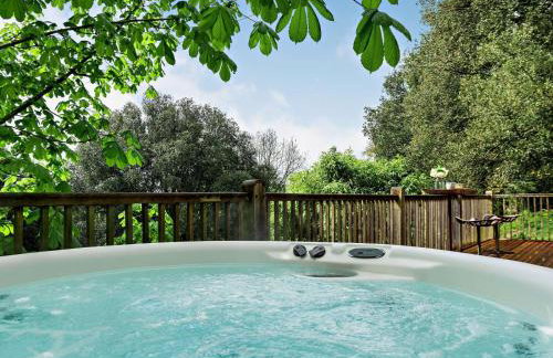 Bydown Lodge - Swimbridge Devon - Foto 2