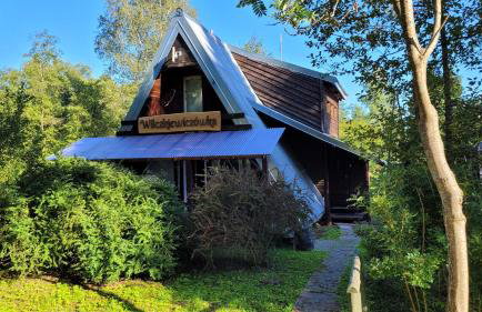 Wilczkiewiczówka - Bieszczadzki Azyl - Photo 35