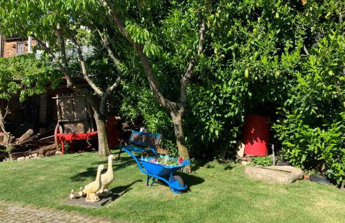 Solar de Rabal - Foto 16