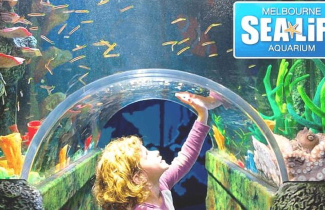 Southbank Apartments - Eureka Tower - Foto 62