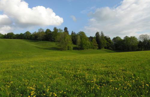 Malerhaus am Kolbergarten - Foto 46