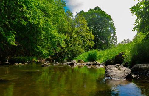 Ferienwohnung Am Weltnaturerbe Grumsin - Foto 23