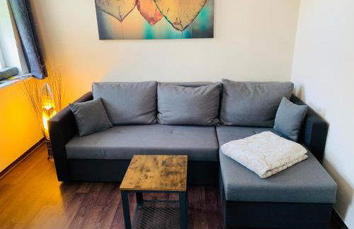 Ferienwohnungen Siebenlehn am Romanus Freibad - Foto 5