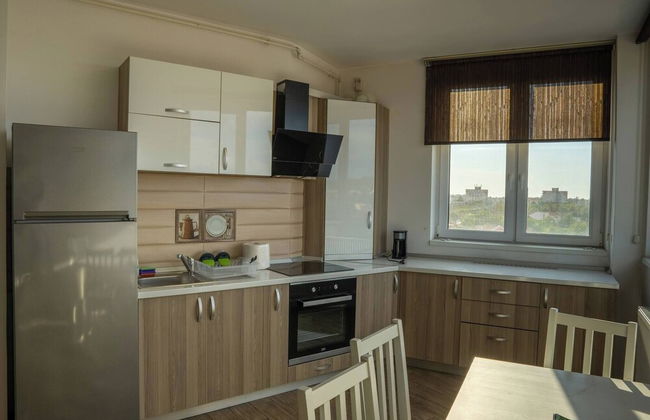 Apartment La Ciobanu - Photo 11