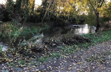 Kingfisher Riverside Glamping with private hot tub - Foto 11