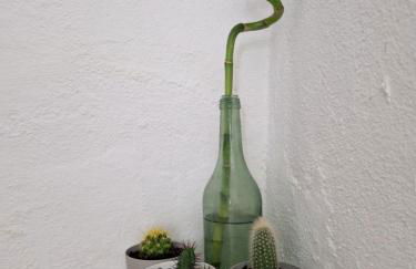 El Pitijopo - Foto 16