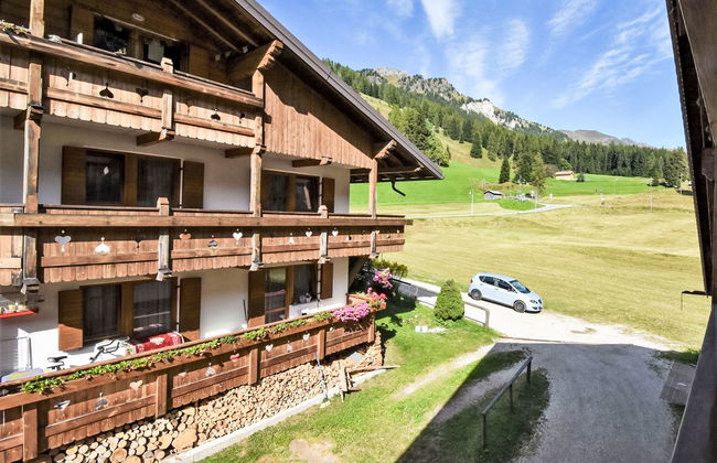 Cesa Galadriel - Foto 33