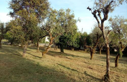 Casa do Olival - Foto 39