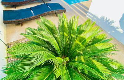 Villa Isla Bonita - Foto 37