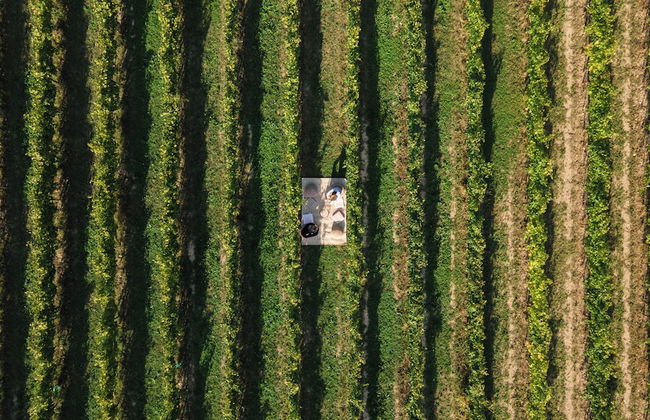 Natiia Relais - Adults Only - Photo 70