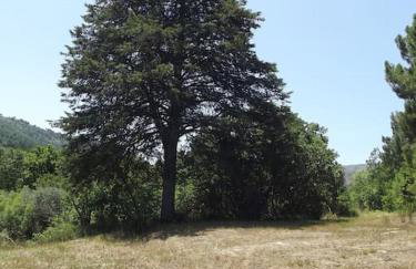 Quinta do Pina - Foto 36