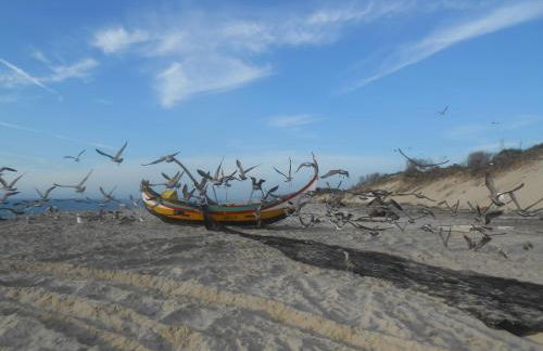 S. Thomé apts - Foto 25