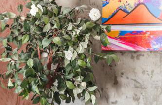 Panorama Suite Napoli - Foto 25