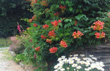Maison au charme champêtre - Monlaur-Bernet - Photo 50