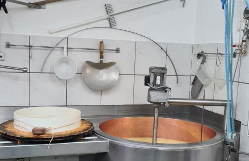 Ferienhof "Alpe Berg" - Photo 24