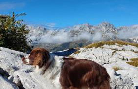 Palazzo Piccolo - Photo 27