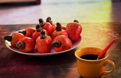 Casa do sossego - Foto 39