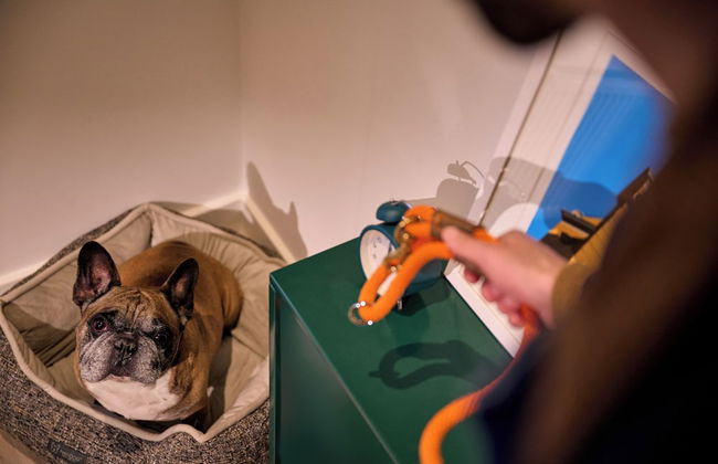 Vertus Edit Canary Wharf - Foto 74