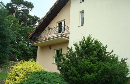 W Starym Sadzie - Foto 1