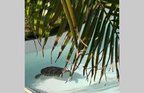 VILLA ON TOP MONTE SÃO FELIX - Foto 37