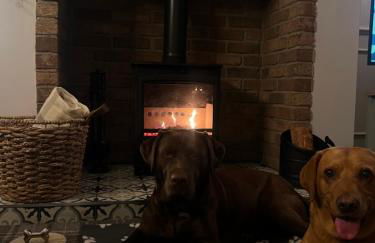 The Secret Cottage - Morpeth - Foto 16