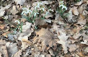 Leśna Residence & SPA - Foto 57