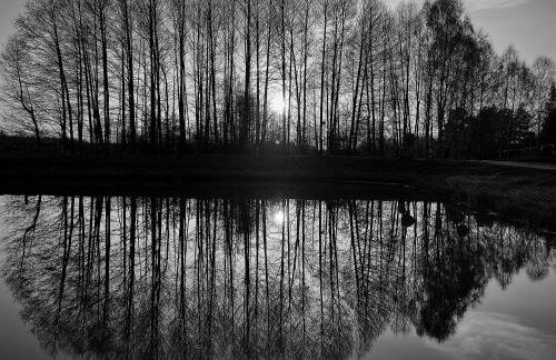 Nasze Podlasie, Domek w Dubiczach Cerkiewnych - Foto 26