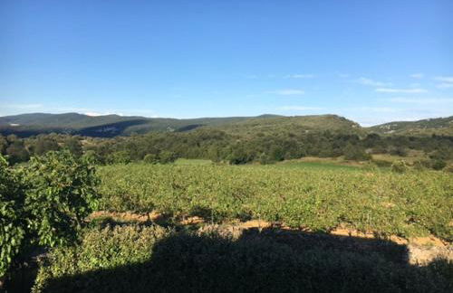 Odalys , hauts de Salavas - Foto 6