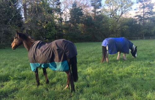 One bedroom lodge in the countryside - Photo 9