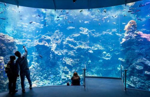 Sunny SF home - cozy, spacious, convenient w/parking, A+ location!! - Foto 56