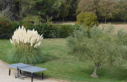 Les Bougainvillées de Camargue - Photo 37