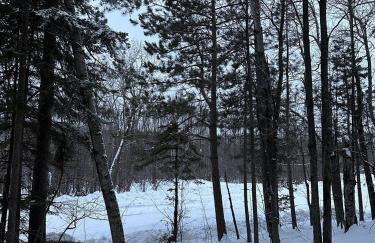 Rocky Pines UP - Foto 42