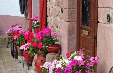 Iturrizar Alojamiento Rural - Foto 34