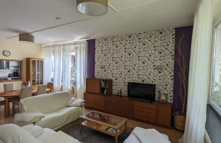 Pension am Park - Foto 42