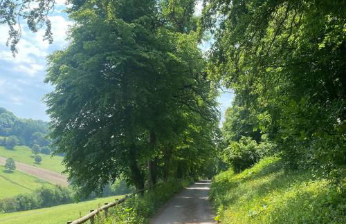 Palm House - Luxury Wye Valley Country House 2 Bed Apartment - Dog Friendly - Foto 27