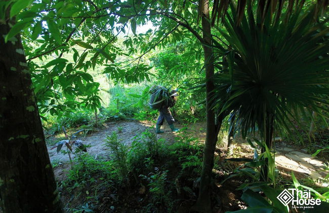 Thai House Pu Luong - Foto 24