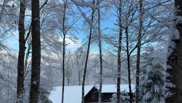 Perfect Vermont Battenkill Log Cabin - Photo 3