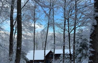Perfect Vermont Battenkill Log Cabin - Photo 3