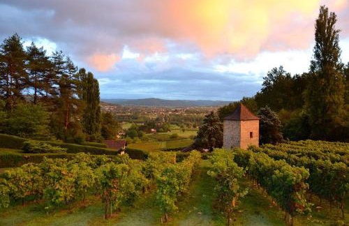T3 familial avec piscine et parking, résidentiel - Foto 22