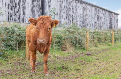 The Old Haybarn - Foto 14