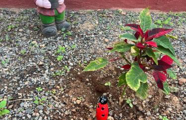 CASA GRANDE FINCA EL CALABRES - Foto 54