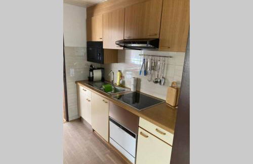 Gemütliche Ferienwohnung in Sankt Blasien - Foto 28