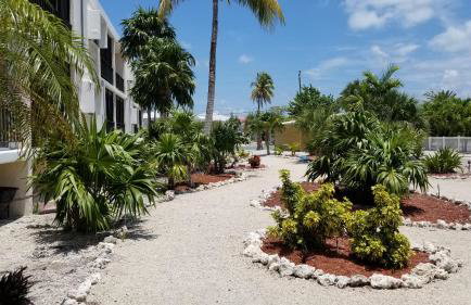 Beachfront Condo on Coco Plum Beach - Foto 33