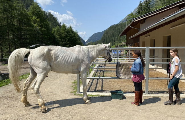 A CASA Juwel - Ski in & Out Appartements - Foto 80