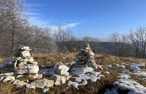 Alb Appartement - gemütliche Wohnung mit Balkon - Foto 28